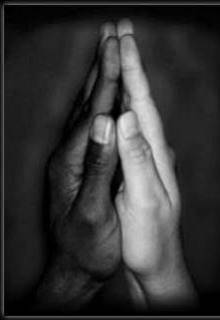 stOp a� raciisme