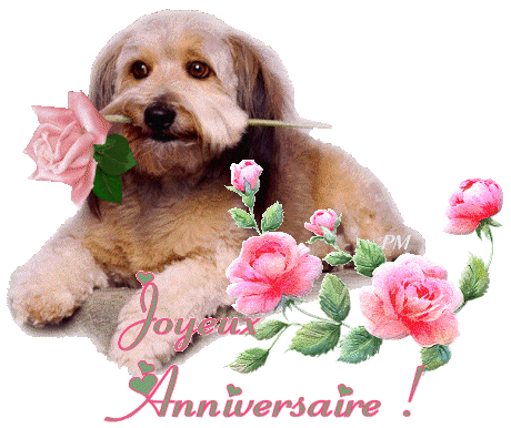 jOye�x anniiversaiire ma lili
