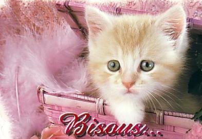pO�r vO�s mes amiis d� viip-blOg